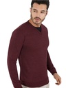Men's Burgundy V-Neck Slim-Fit Sweater